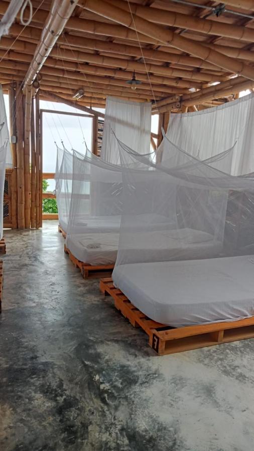 Niuwi Hostel بوريتاكا المظهر الخارجي الصورة