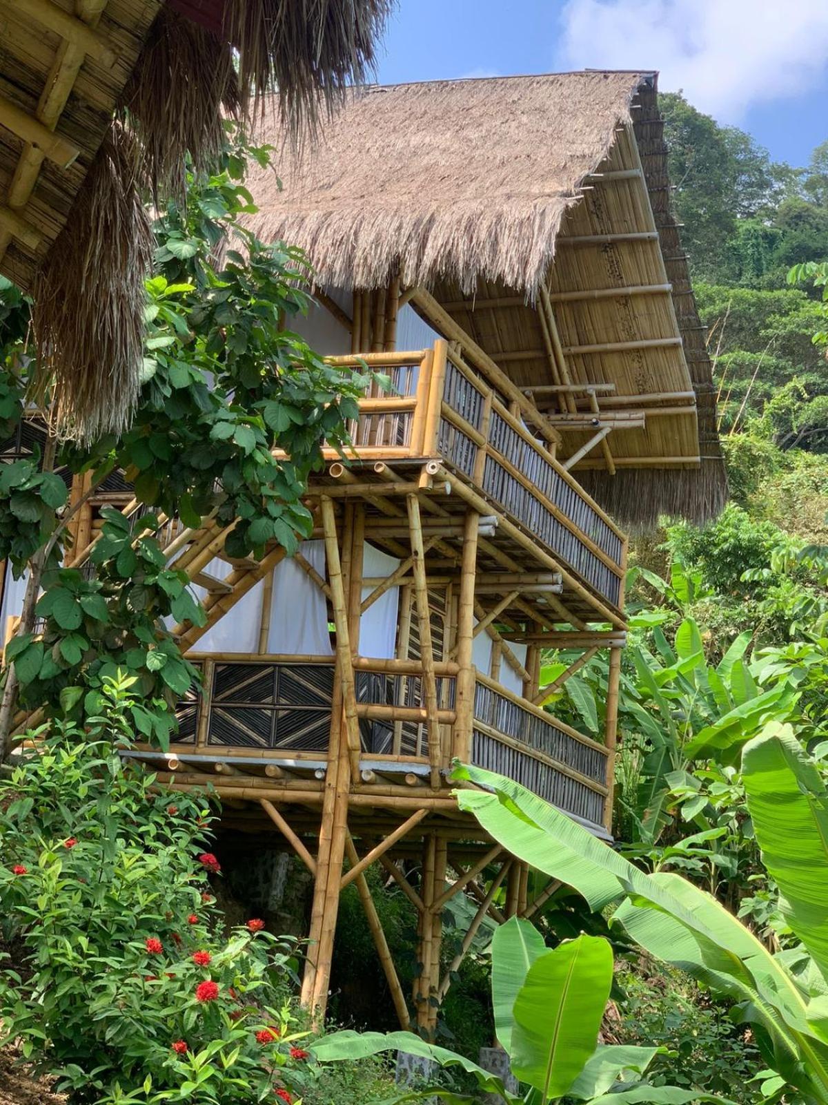 Niuwi Hostel بوريتاكا المظهر الخارجي الصورة