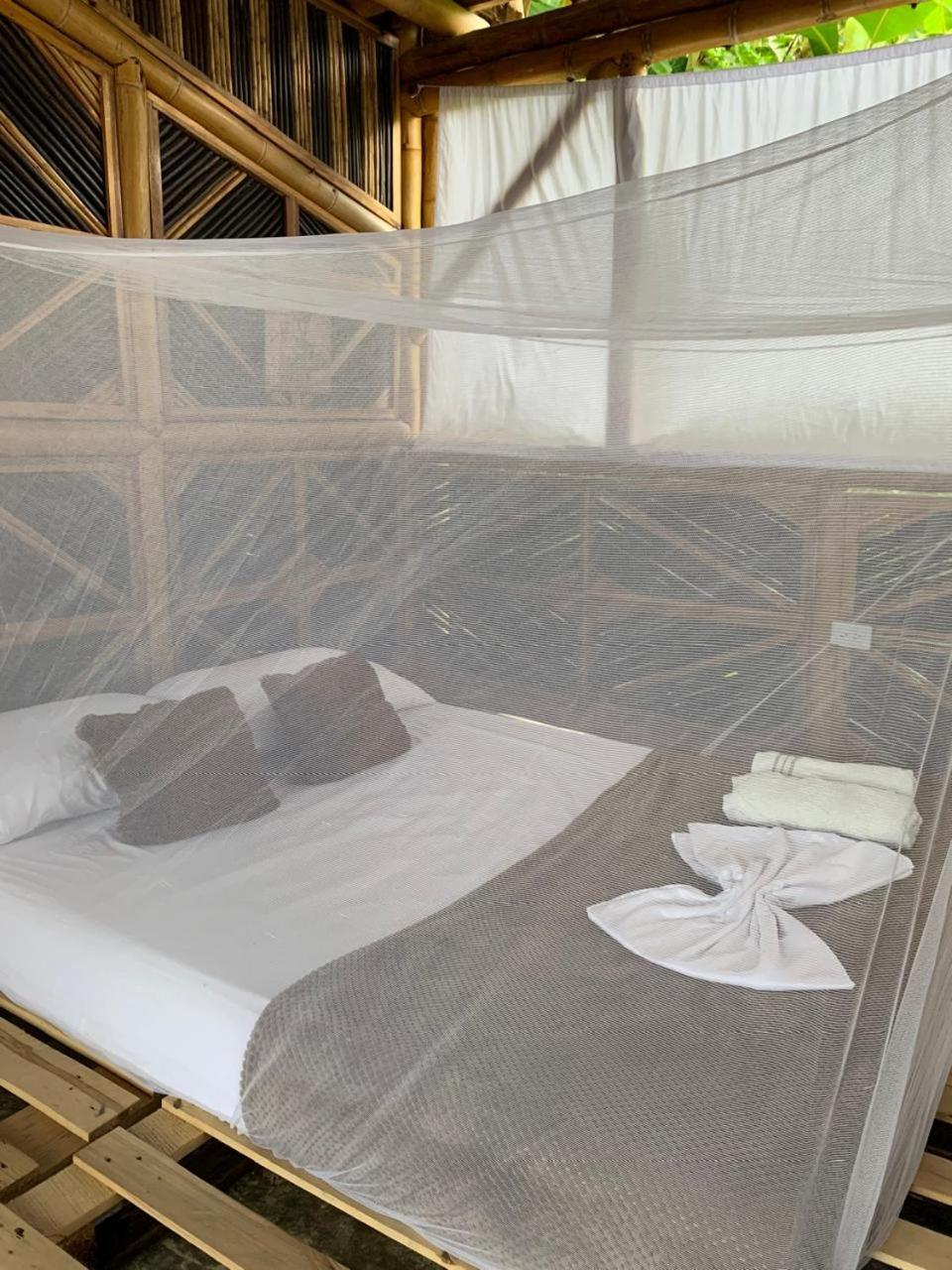 Niuwi Hostel بوريتاكا المظهر الخارجي الصورة