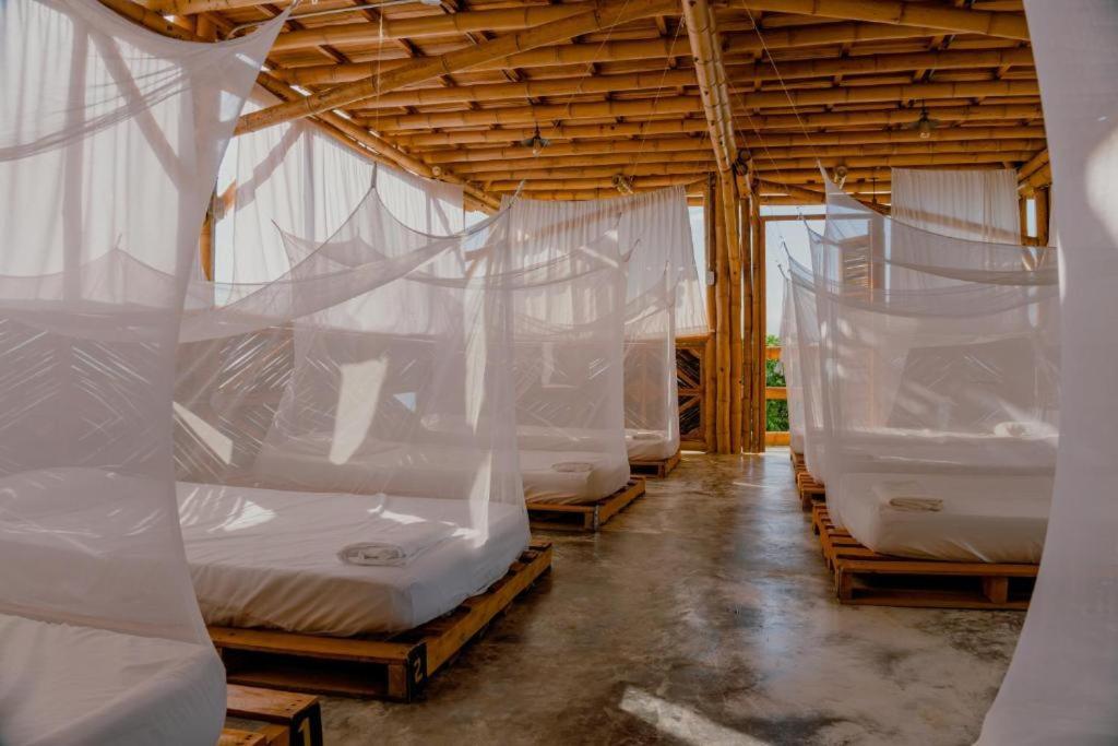 Niuwi Hostel بوريتاكا المظهر الخارجي الصورة